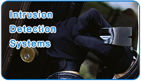 Service_IntrusionDetectionSystem Intrusion Detection System